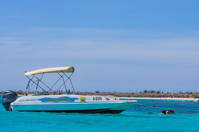 Private Boat Cruise with Snorkeling - The Antilla shipwreck is the main event