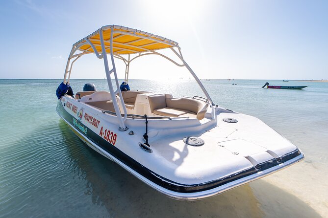 Private Boat & Snorkeling Adventure on Aruba’s Crystal Coast - Malmok Reef for fish and underwater color