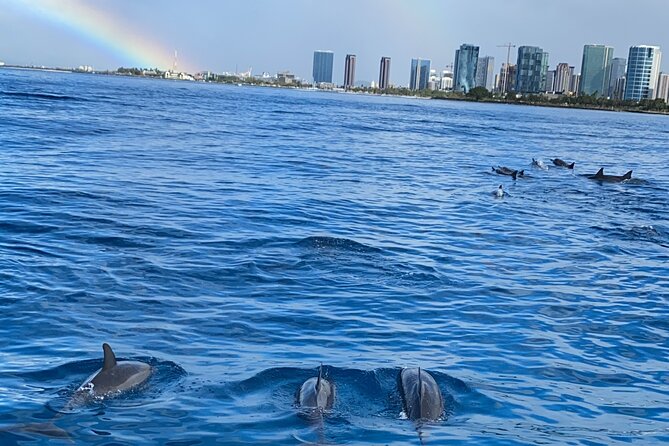 Private Catamaran Cruise and Snorkeling Tour in Honolulu - Snorkeling from a private catamaran