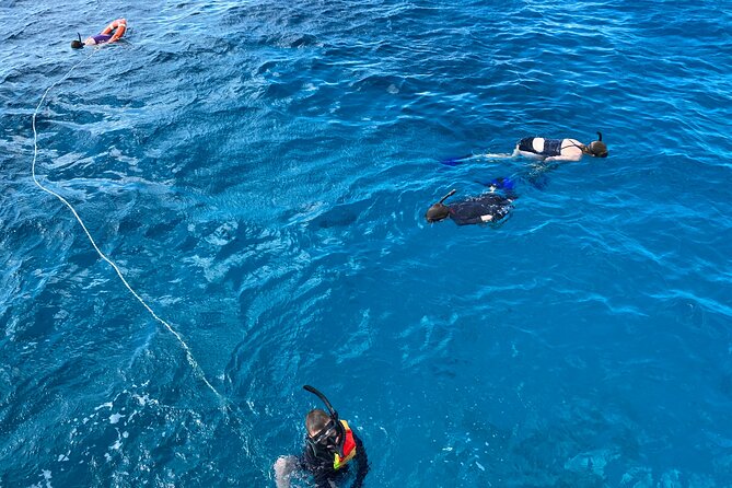 Private Catamaran Cruise and Snorkeling Tour in Honolulu - What the two-person crew adds