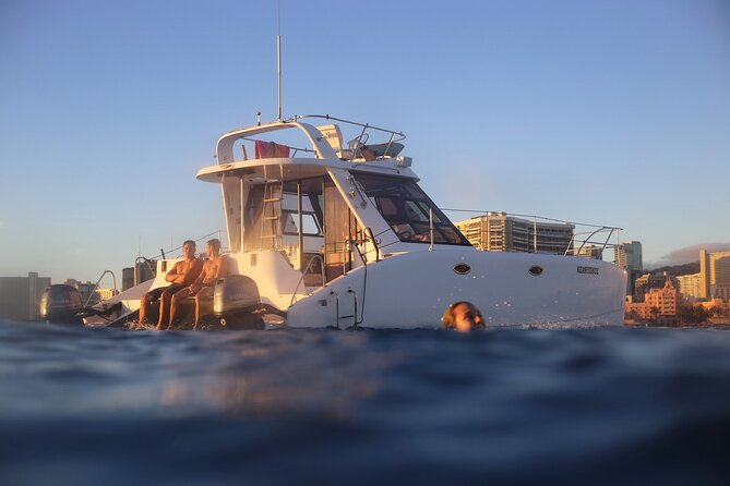 Private Catamaran Cruise and Snorkeling Tour in Honolulu - Searching for turtles, dolphins, and whales