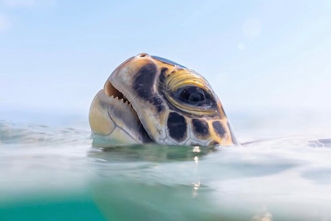 Private catamaran sail & snorkel - What you will and will not find on board