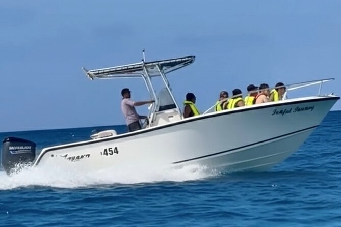 Private catamaran sail & snorkel - Snorkeling with turtles, rays, and reef life