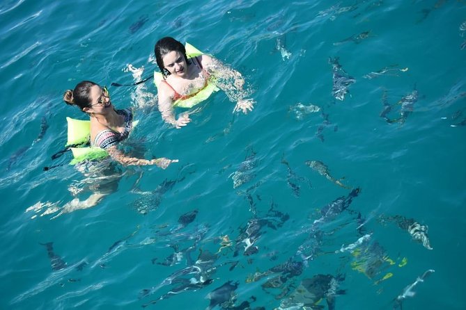 Private Catamaran Snorkeling Cruise in Los Cabos - Danny, the crew, and the service style