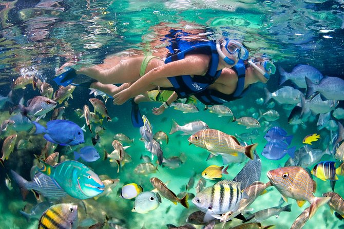 Private Catamaran Snorkeling Family Adventure - The natural pool party at the end