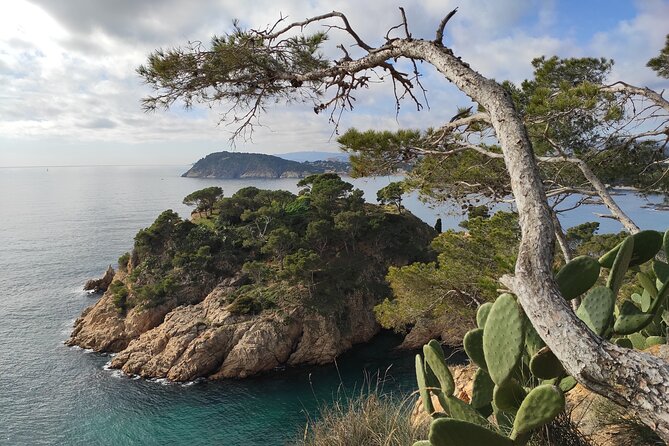 Private Costa Brava Hike and Snorkel from Barcelona with Lunch - Practical packing advice for this Costa Brava hike
