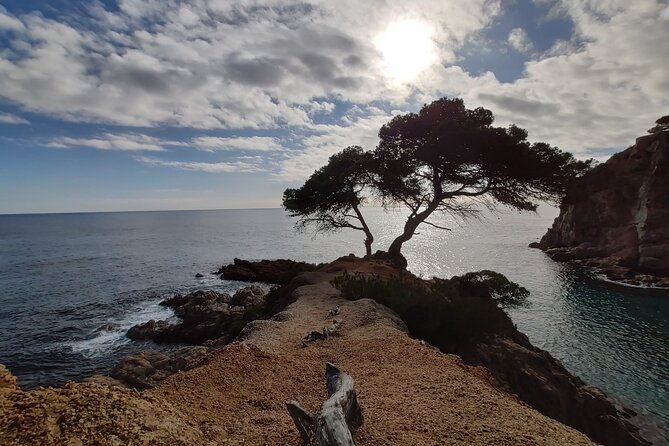 Private Costa Brava Kayak Experience with Snorkel from Barcelona - Paddling beside coves, cliffs, and rock formations