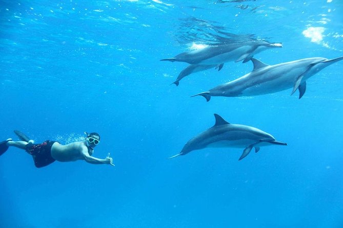 Private Dolphin House Boat Tour with Snorkeling & Lunch– Hurghada - Why a private boat changes the Hurghada day