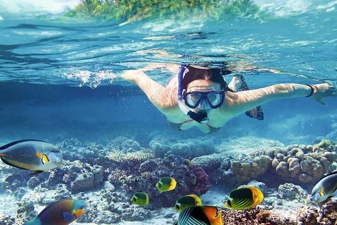Private Dolphin House Boat Tour with Snorkeling & Lunch– Hurghada - Is $110 per person good value?