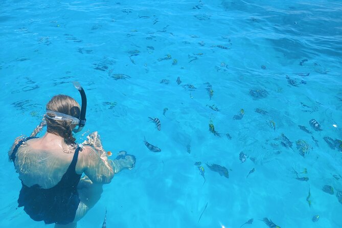Private Dolphin Tour and Snorkeling at Mnemba Island reef - Snorkeling at Mnemba Island Reef