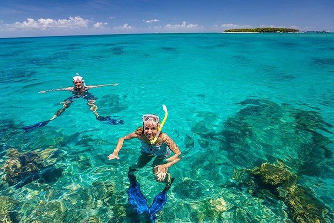 Private Dolphin Tour and Snorkeling at Mnemba Island reef - A calm finish at the nearby sandbank
