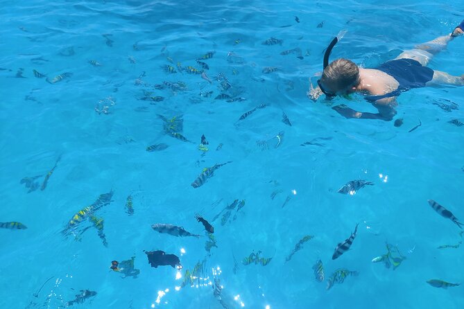 Private Dolphin Tour and Snorkeling at Mnemba Island reef - Who will enjoy this trip most