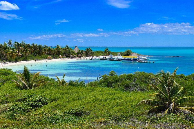 Private Escape: Isla Contoy & Isla Mujeres with Snorkeling - The 40-minute Mesoamerican Reef snorkel