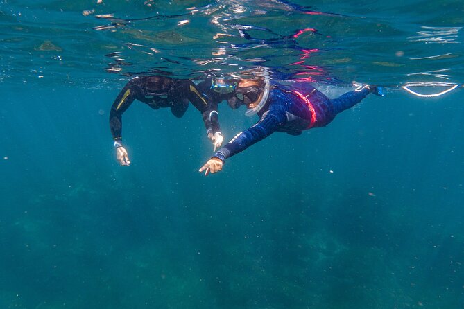 Private Guided Snorkeling in Cabo San Lucas - A private way to see Cabo from the water