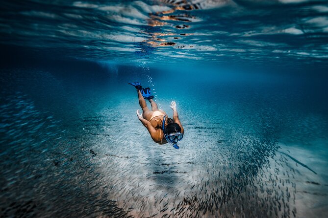 Private Guided Snorkeling in Cabo San Lucas - Snorkeling with room to set your own pace