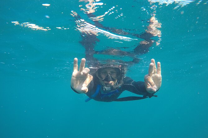 Private Guided Snorkeling in Cabo San Lucas - El Arco: a quick stop with a big payoff