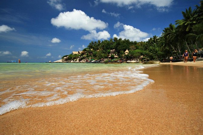 Private Half-Day Red Dragon Yacht for Snorkeling Koh Tan & Visit Pig Island - Why the Red Dragon Changes the Day