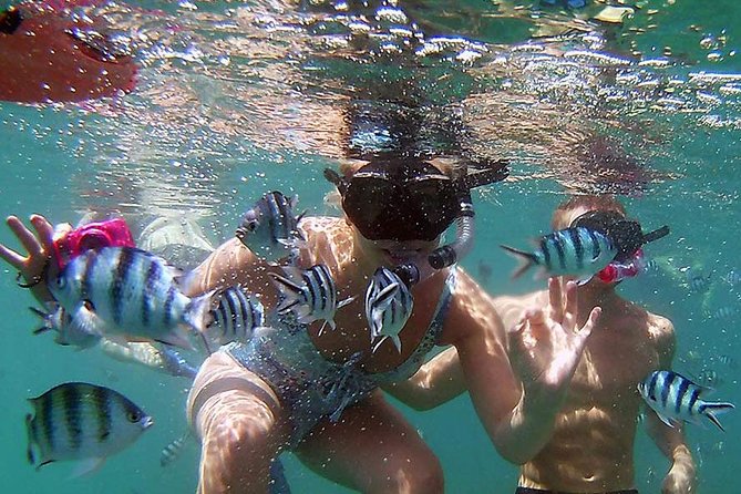 Private Half-Day Red Dragon Yacht for Snorkeling Koh Tan & Visit Pig Island - The Weather Backup at Koh Taen