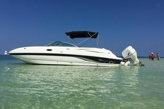 Private Half Day Stingray City, Snorkeling and Starfish Beach Tour - Key things to know before booking