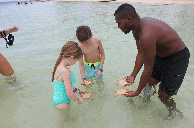 Private Half Day Stingray City, Snorkeling and Starfish Beach Tour - Who should book this private Cayman tour
