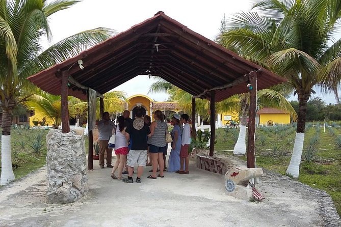 Private Jeep Excursion in Cozumel with Lunch and Snorkeling - San Gervasio and the Maya past of Cozumel