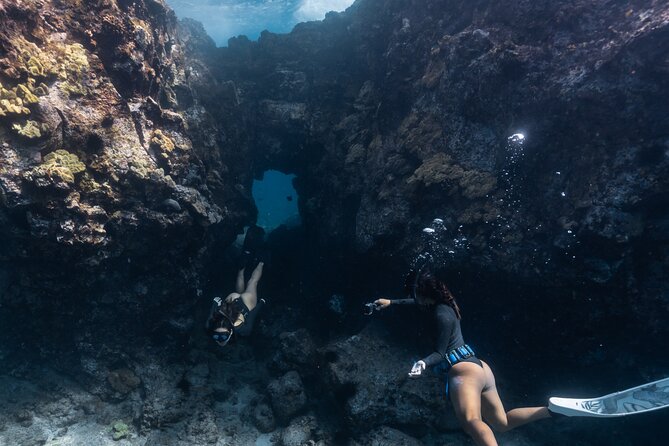 Private Kealakekua Bay Snorkel and Dolphin Watch - Snorkeling with tropical fish at Kealakekua Bay