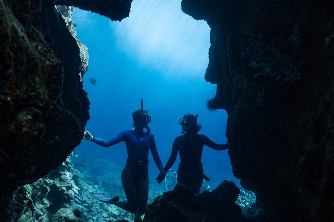 Private Kealakekua Bay Snorkel and Dolphin Watch - Who should choose this Kealakekua Bay outing?