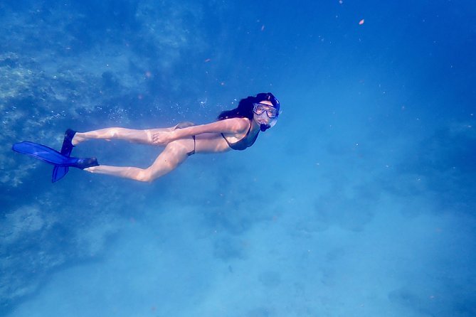 Private Looe Key Snorkel from Big Pine Key - Why Looe Key is worth the boat ride