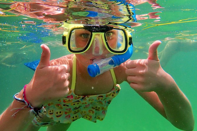 Private Looe Key Snorkel from Big Pine Key - Who should book this snorkel trip?