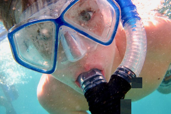 Private Looe Key Snorkel from Big Pine Key - What your three hours look like