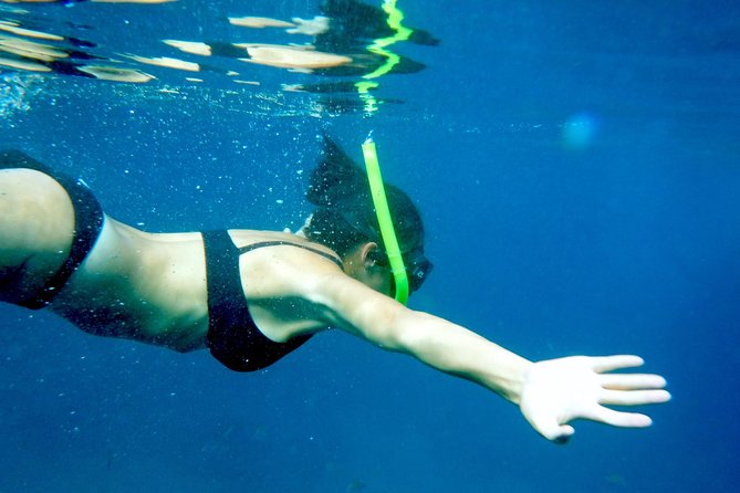Private Los Arcos Snorkel and Beach Tour from Puerto Vallarta - Why this private boat trip works so well