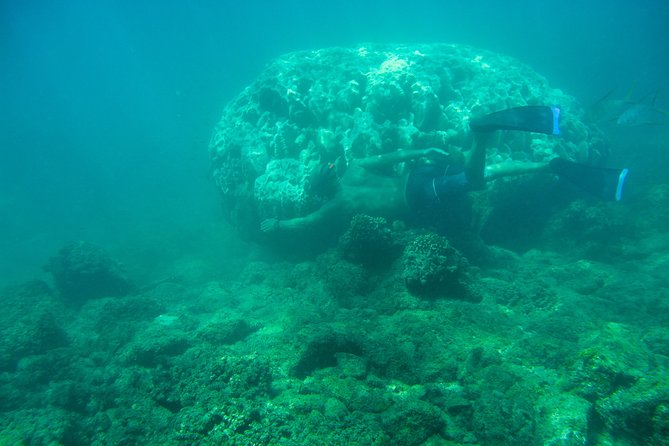 Private Los Cabos snorkeling tour to Chileno bay and Santa Maria cove - What the private guide adds
