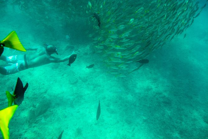 Private Los Cabos snorkeling tour to Chileno bay and Santa Maria cove - Is $125 per person a fair price?