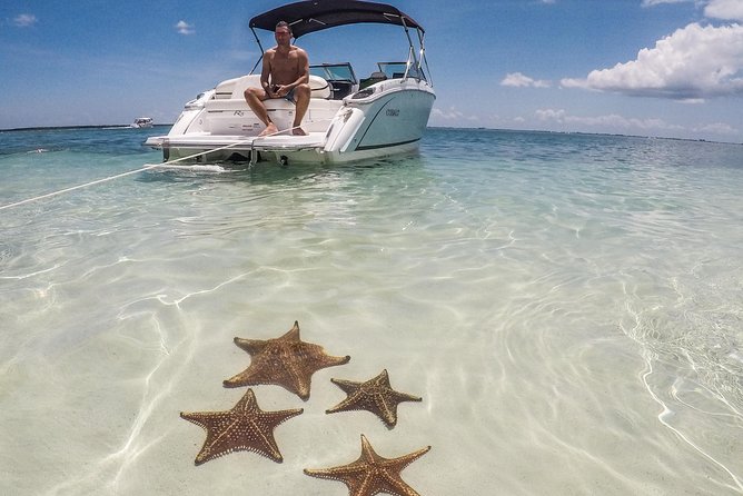 Private, luxury, custom charters to Stingray City, Snorkeling & More - A private way to see Grand Cayman’s North Sound