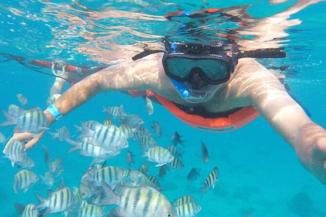 Private MUSA Snorkeling Experience at Isla Mujeres and Cancun - Why a private boat changes the day