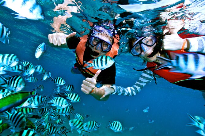 Private MUSA Snorkeling Experience at Isla Mujeres and Cancun - Who gets the best value for $550