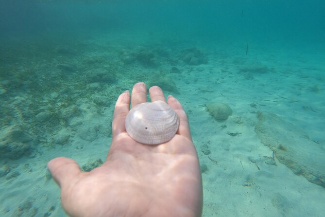Private MUSA Snorkeling Experience at Isla Mujeres and Cancun - What the strong rating does and does not tell you