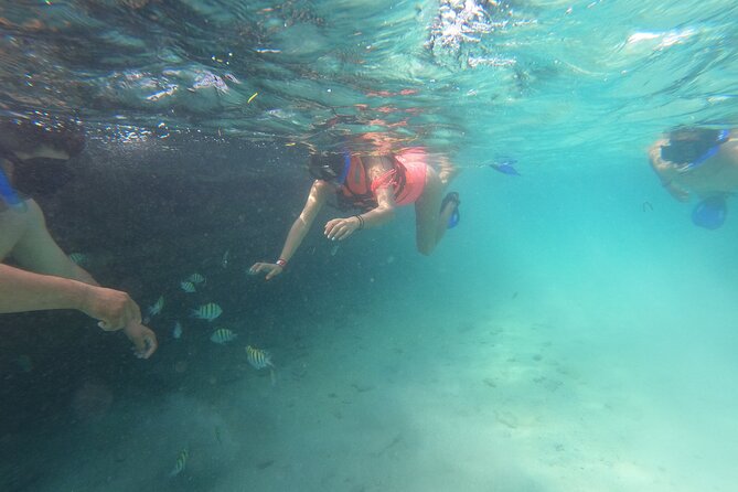 Private MUSA Snorkeling Experience at Isla Mujeres and Cancun - MUSA: an underwater museum with a strange edge