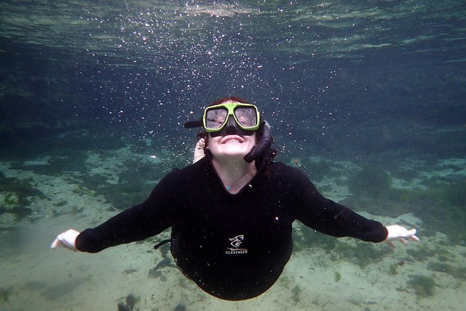 Private 'OG' Manatee Snorkel Tour with Guide for up to 10 people - Photos, memories, and the extra cost