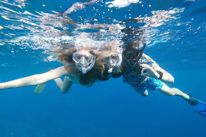 Private snorkel with 2 stops in Aruba - Eco-friendly! - What the eco-friendly claim means in practice