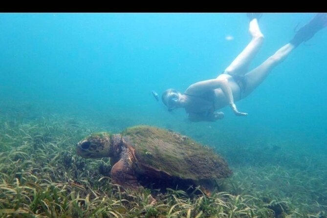 Private Snorkeling and Sightseeing Tour of Antigua - Nelson’s Dockyard puts Antigua’s past in context