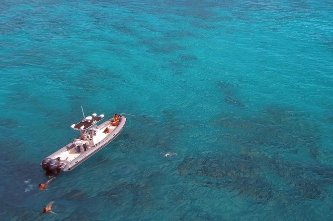 Private Snorkeling and Wildlife on The Adventure Boat - Snorkeling for beginners and families