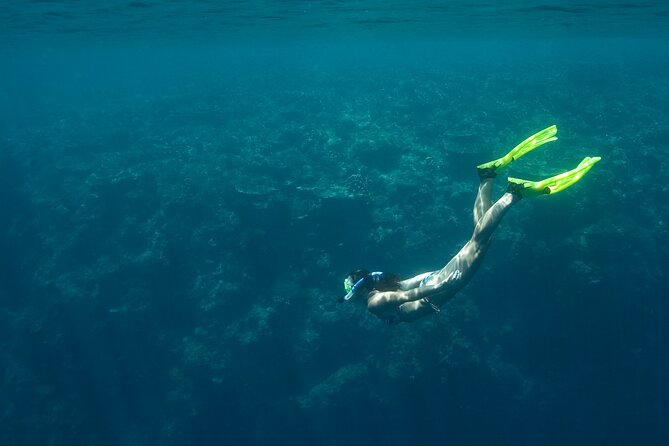 Private Snorkeling Experience in Aqaba Red Sea - Photos and videos make a useful extra