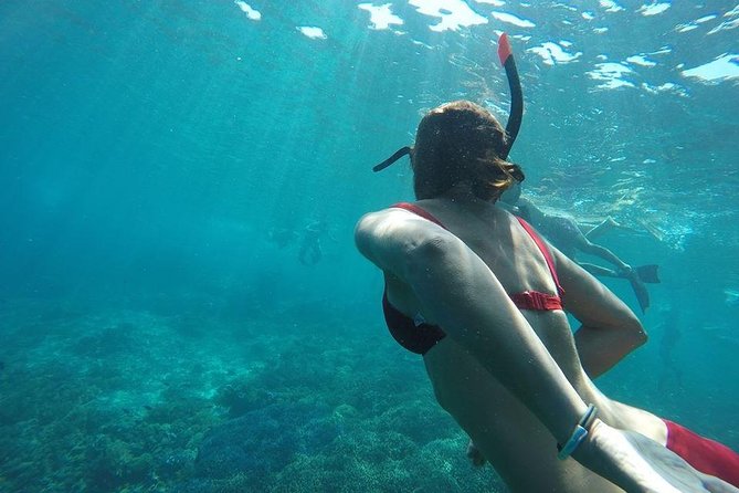 Private Snorkeling Gili Island (Coral, Statue and Turtle) - Turtle Point and the chance to swim with turtles