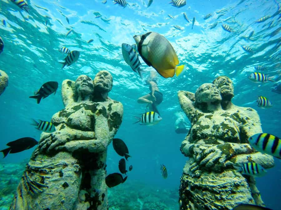 Private Snorkeling Gili Islands Full Day Tour - Who should book this private snorkeling day?