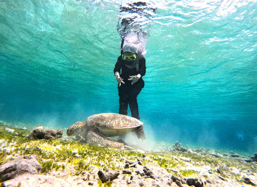 Private Snorkeling Gili Islands Full Day Tour - Gili Air adds a third water stop