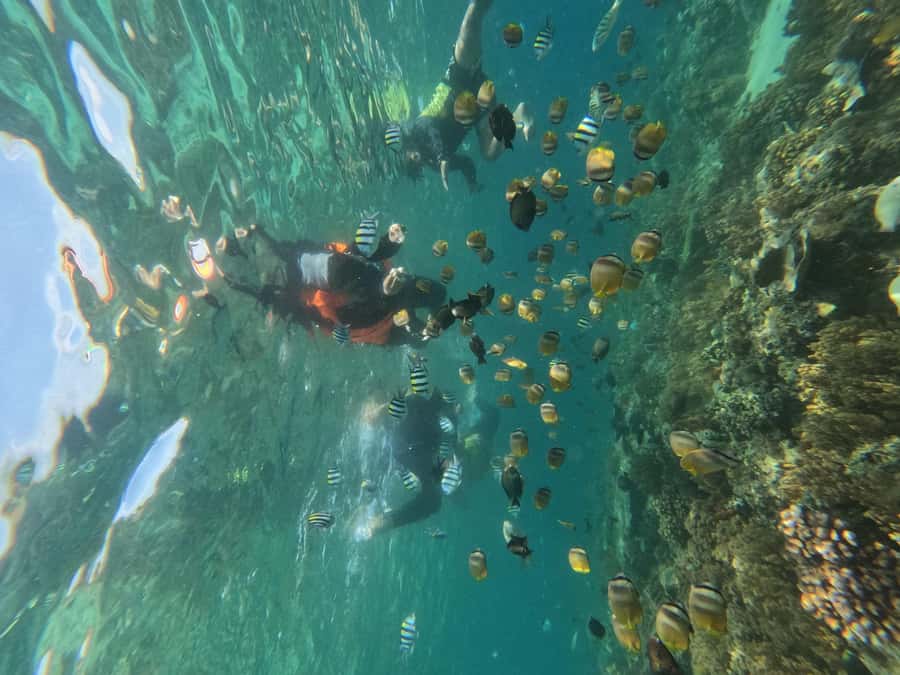 Private Snorkeling Gili Islands Full Day Tour - Weather, crowds, and comfort