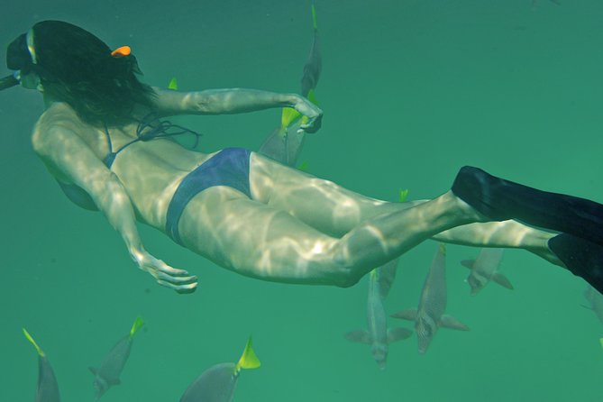 Private Snorkeling Tour in Cabo San Lucas - Equipment, snacks, and what you need to bring
