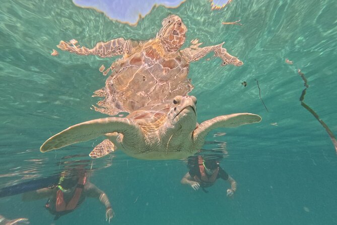 Private Snorkeling with Sea Turtles in Akumal Beach - Photos and videos: useful, but ask about the cost