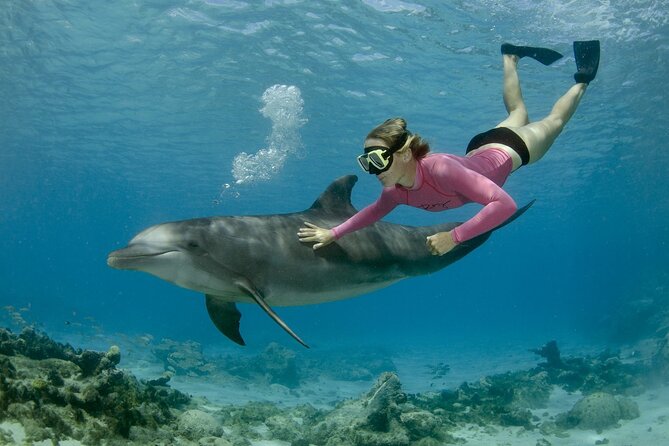 Private Speed Boat Snorkeling with Dolphins Trip - Hurghada - A fast morning across the Red Sea